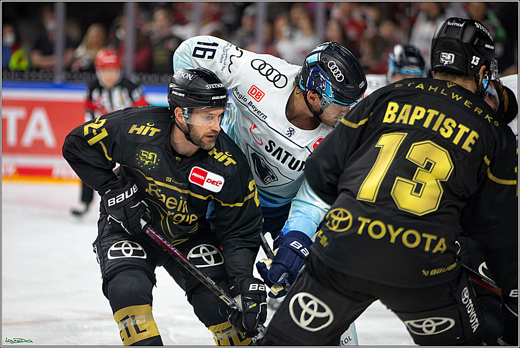 PENNY DEL;  Kölner Haie - ERC Ingolstadt; Köln, 25.11.2022